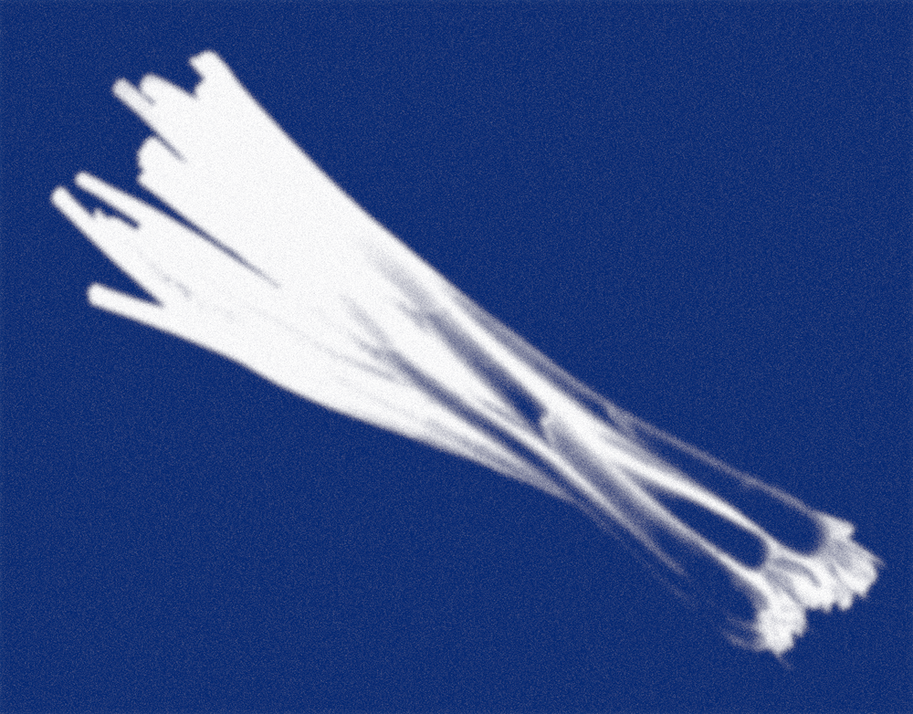 26 de març: Taller de cuina - El Calçot més enllà de les calçotades