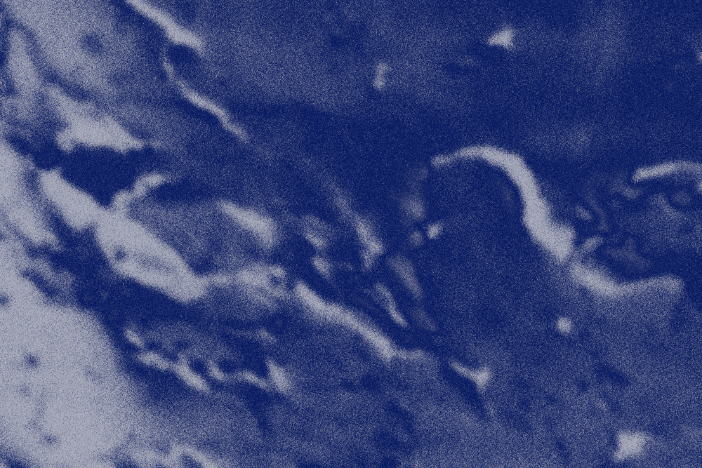 18 de febrer: Maridatge amb formatges d'autor